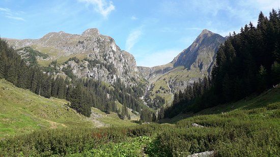 Cetatea Făgărașului