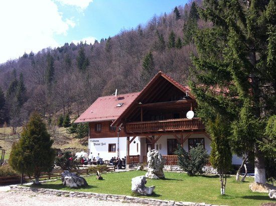 Biserica Ortodoxă "Nașterea Sfântului Ioan Botezătorul" Pestera