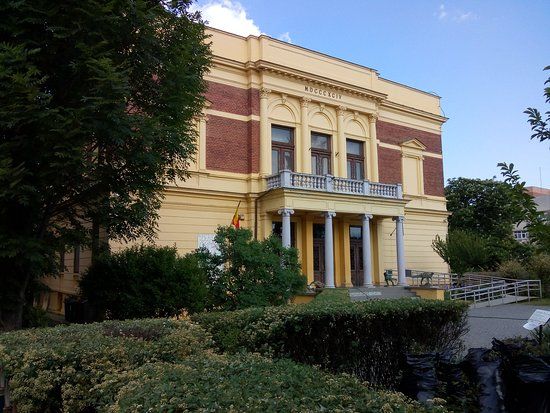 Muzeul de Istorie Naturală