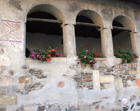 Mănăstirea Negru Vodă