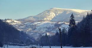 Munții Bihorului