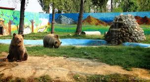 Grădina Zoologică Târgoviște