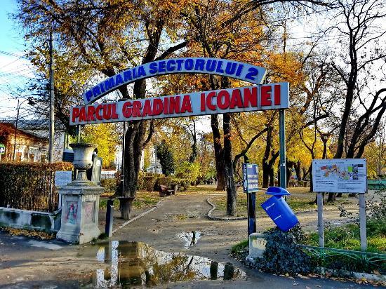 Muzeul Național de Istorie Naturală 'Grigore Antipa'