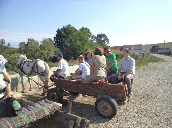Day Trips in Transylvania