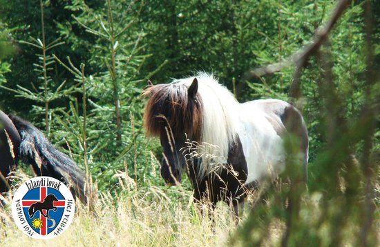 Ivo Wildlife Park