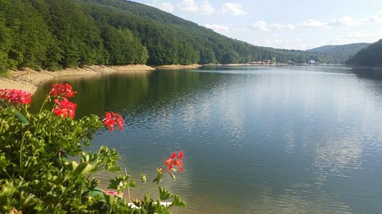 Lacul Valiug