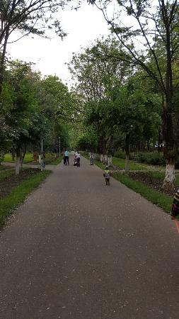 Parcul Mircea Cancicov
