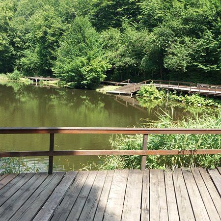 Lacul Ursu și arboretele de pe sărături