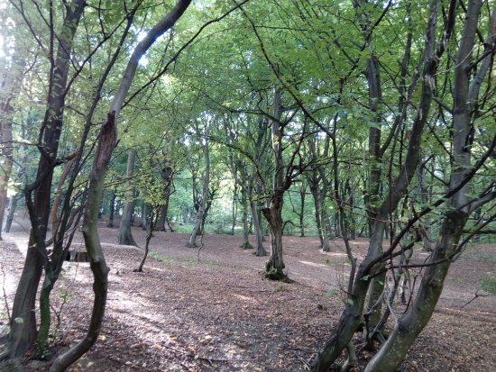 Parcul Central din Cluj-Napoca
