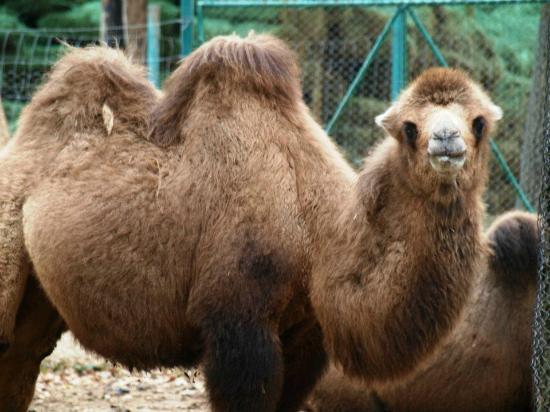 Grădina Zoologică Sibiu