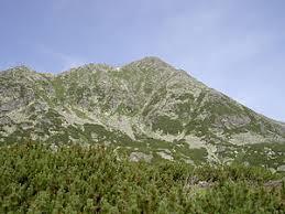 Vârful Retezat