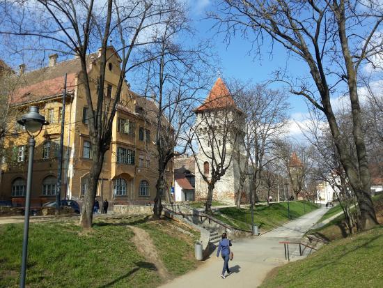 Sinagoga Mare din Sibiu