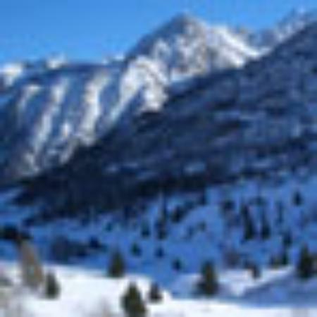 La oglinzi